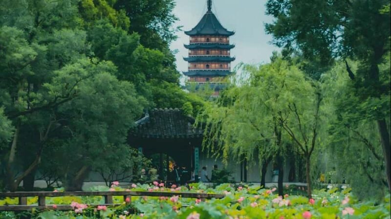 Shanghai: 7-Day Private Tour with Suzhou & Nanjing - What Makes This Tour Stand Out?