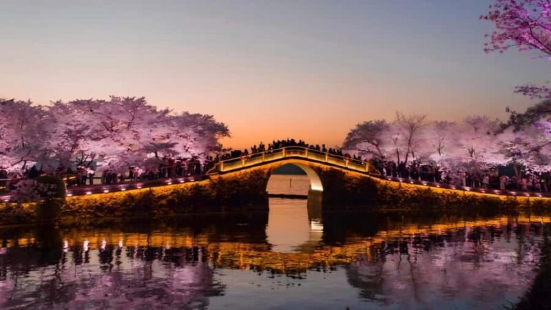 Shanghai: 7-Day Private Tour with Suzhou & Nanjing - Price and Value