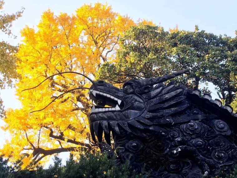 shanghai-8-hour-private-city-tour