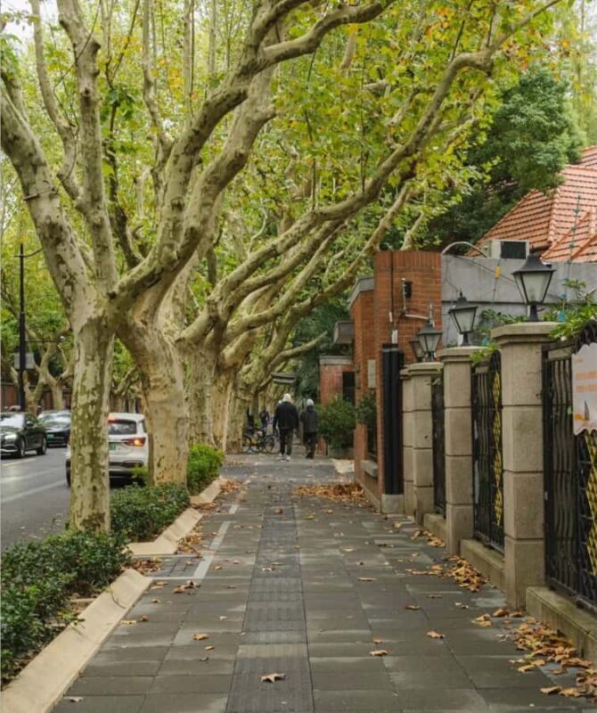 Shanghai City Essentials: Culture, Yu Garden & Night Views - Key Points