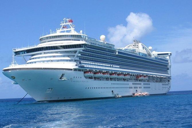 Shanghai Downtown Hotel to Baoshan Cruise Port:Private with Meet & Greet service - Who Is This Service Best For?