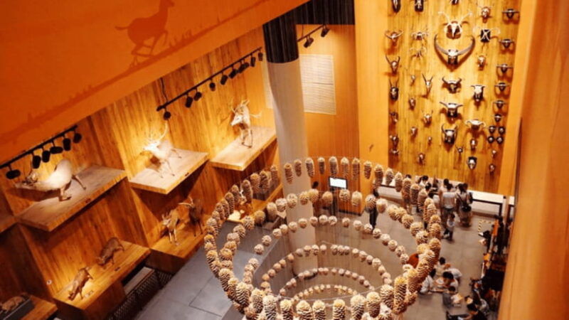 shanghai-natural-history-museum-admission