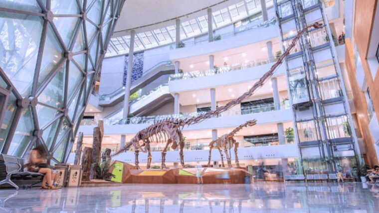 shanghai-natural-history-museum-admission