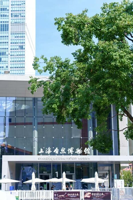 Shanghai Natural History Museum Entry Ticket - A Complete Look at the Shanghai Natural History Museum Experience