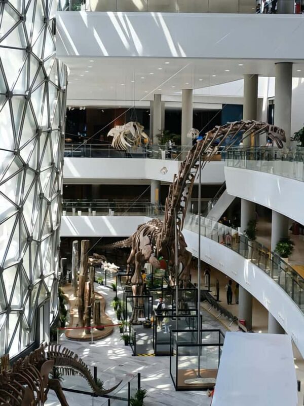 Shanghai Natural History Museum Entry Ticket - Who Should Visit?