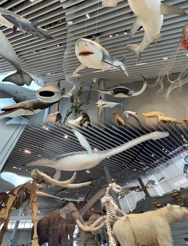 Shanghai: Natural History Museum Tour & River Cruise - Exploring Shanghai’s Natural History and City Lights: A Detailed Review of the Museum & River Cruise Tour