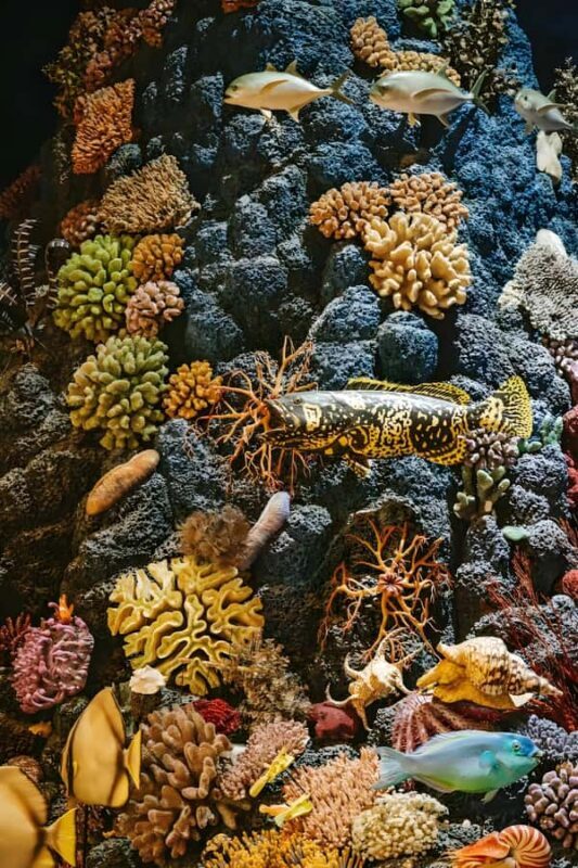 Shanghai: Natural History Museum Tour & River Cruise - Why This Tour Works Well