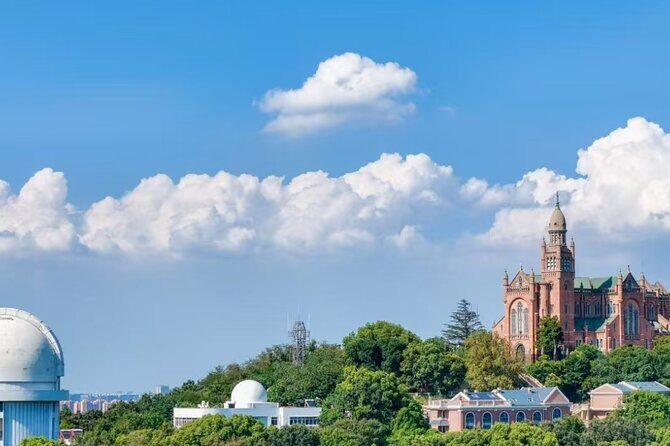 Shanghai One Day Tour Private Luxury Car GoKart and Film Studio - Who Will Love This Tour?