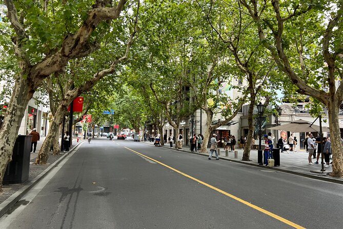 Shanghai Private City Tour with History, Skylines and Culture - Who Would Love This Tour?