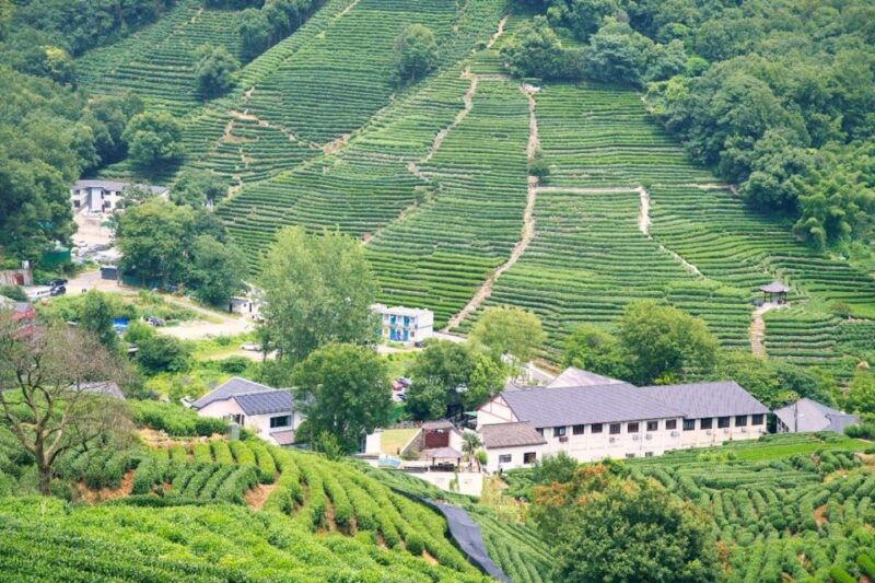 shanghai-private-guided-tour-to-hangzhou-by-bullet-train