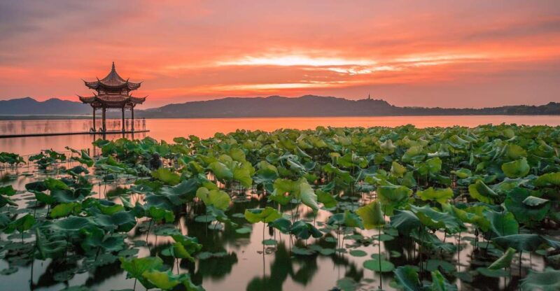 shanghai-private-guided-tour-to-hangzhou-by-bullet-train