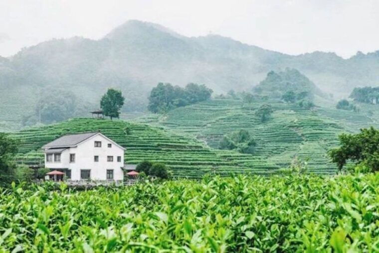 shanghai-private-guided-tour-to-hangzhou-by-bullet-train