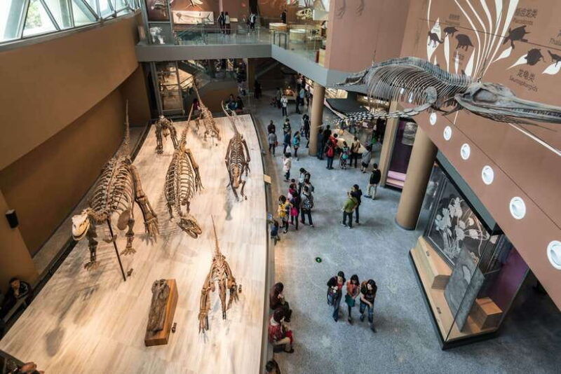 shanghai-private-tour-of-the-shanghai-museum