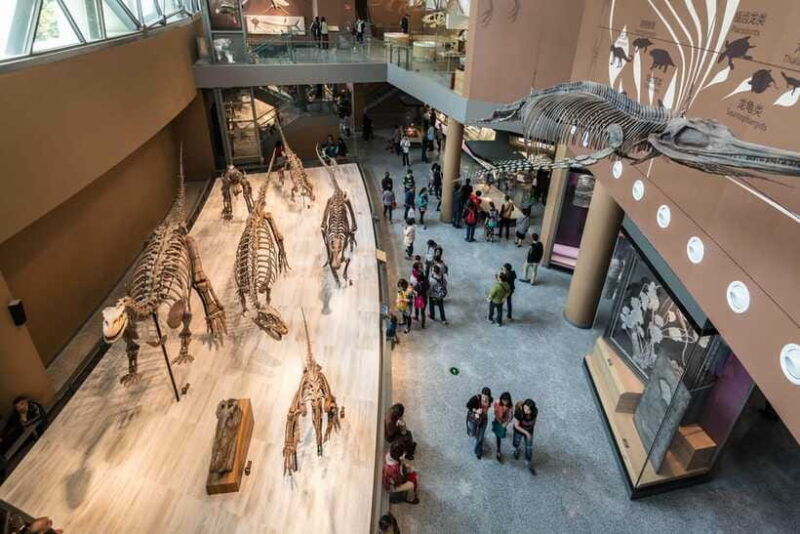 shanghai-private-tour-of-the-shanghai-museum