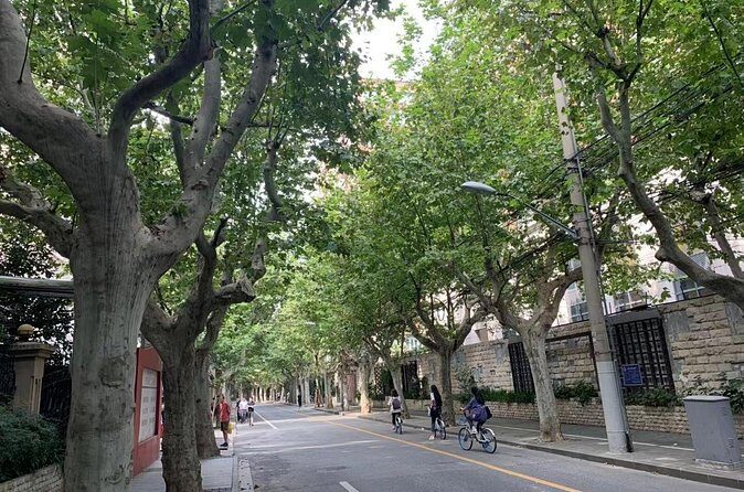 Shanghai Quality Group Tour Afternoon Departure - Stop 3: Shanghai Museum (2 hours)