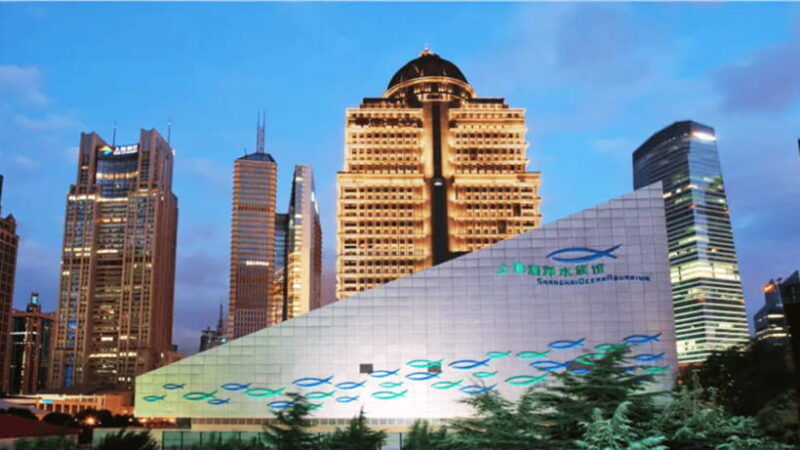 shanghai-the-marine-wonders-at-shanghai-ocean-aquarium