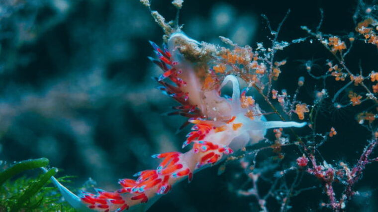 shanghai-the-marine-wonders-at-shanghai-ocean-aquarium