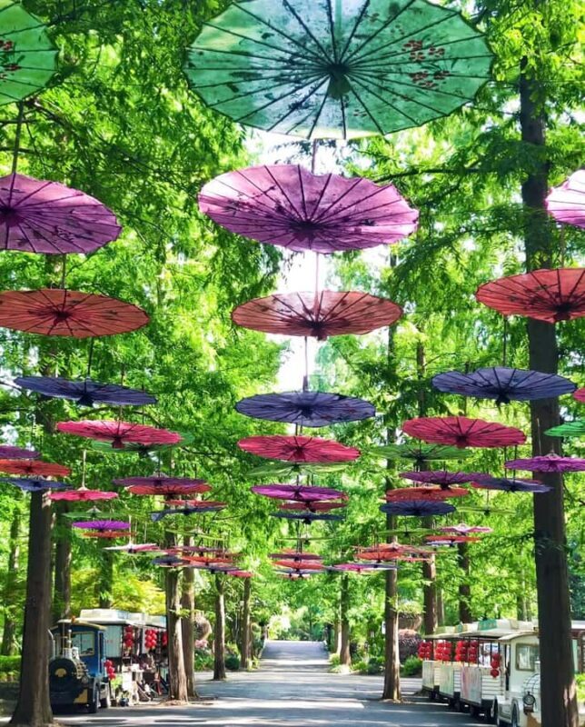 Shanghai to Chongming: Ecology, Culture & Hands-on Tour - The Sum Up