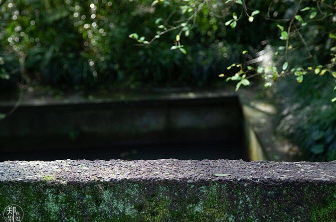 Shanghai to Hangzhou Tofu Ancient Road Hiking Tour by Train - Practical Considerations