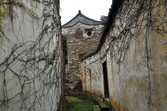 Shanghai to Suzhou Tai Lake and Moli Peak Private Hiking Tour - An Overview of the Experience