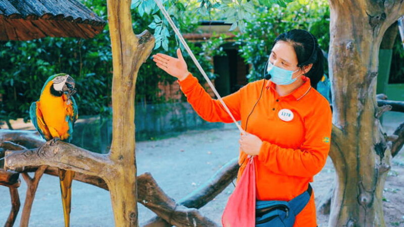 shanghai-wild-animal-park-ticket
