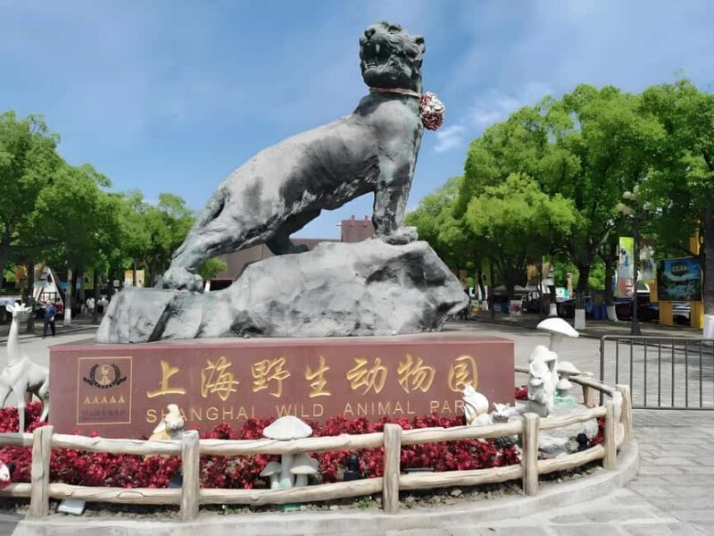 Shanghai Wildlife Park Panda & Predator Feeding Tour - Introduction: What Makes This Tour Stand Out?