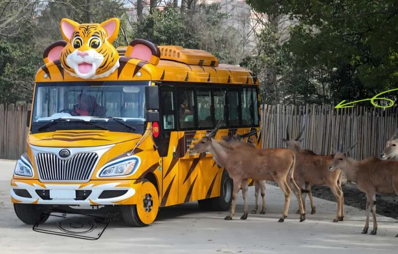 Shanghai Wildlife Park Panda & Predator Feeding Tour - Analyzing the Value: Is It Worth the Price?