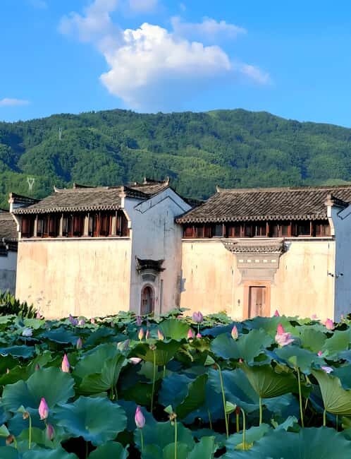 Shanghai: Wuzhen West Scenic Area & Wucun Day Trip - Who Will Love This Tour?