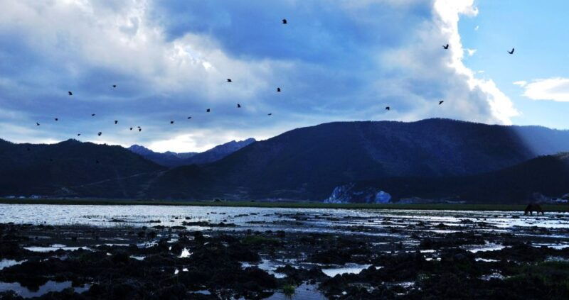 shangri-la-area-private-day-tour