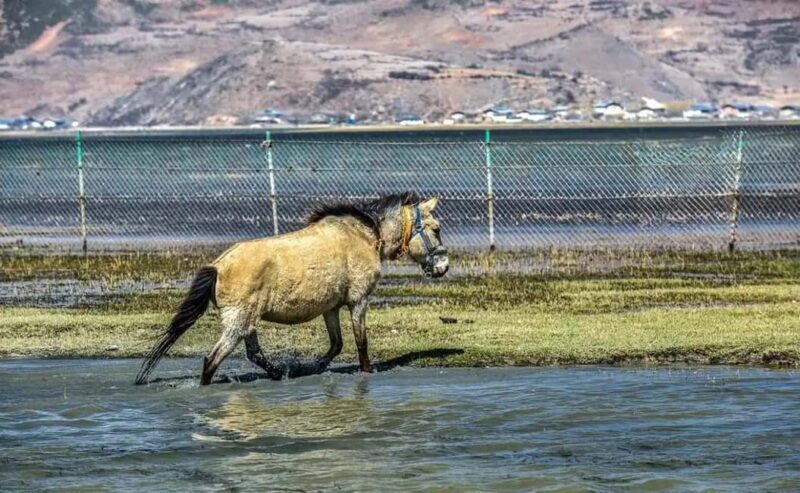 Shangri-La: Balagezong Scenic Area Private Tour - Key Points