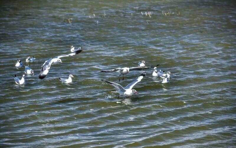 Shangri-La: Balagezong Scenic Area Private Tour - Exploring the Balagezong Scenic Area: What You Can Expect