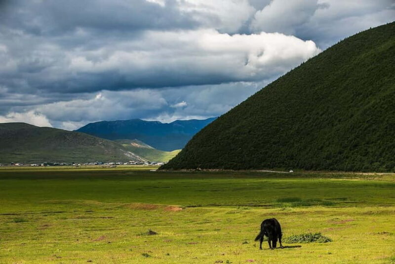 Shangri-La Nanjiluo 3 Days Boutique Small Groups - Final Thoughts: Who Should Consider This Tour?