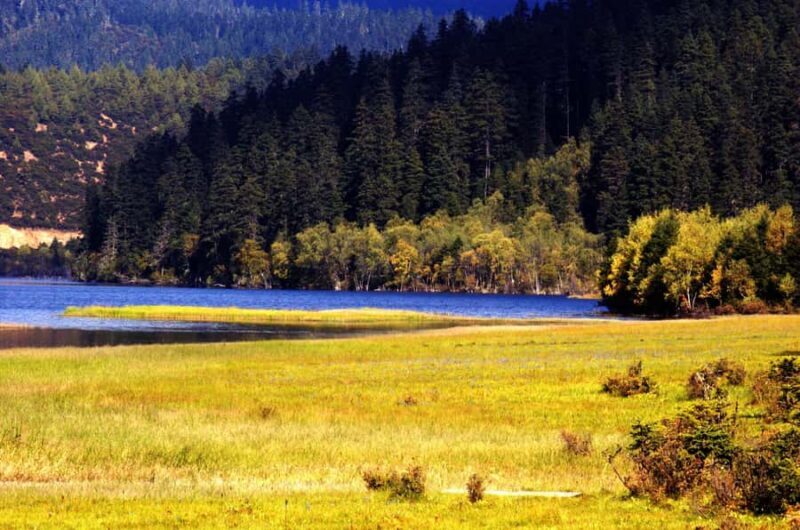 Shangri-La: Pudacuo National Park & Songzanlin Tour - Practical Details and Tips