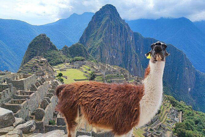 shared-1-day-machu-picchu-tour-from-cusco