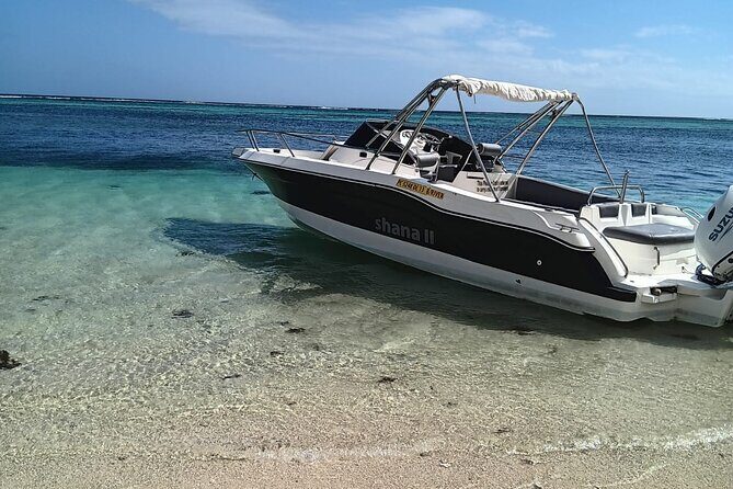 Shared 10 Pax Boat Tour: Dolphin Watching, Snorkelling and BBQ - Authentic & Safe Marine Encounters