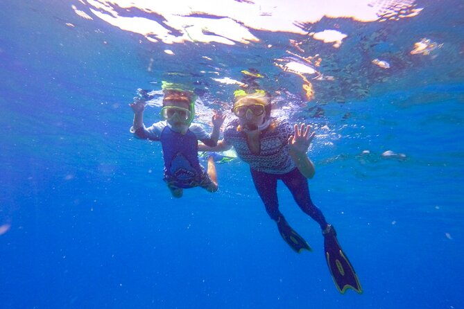 shared-2-hours-sosua-bay-snorkeling-with-professional-guide