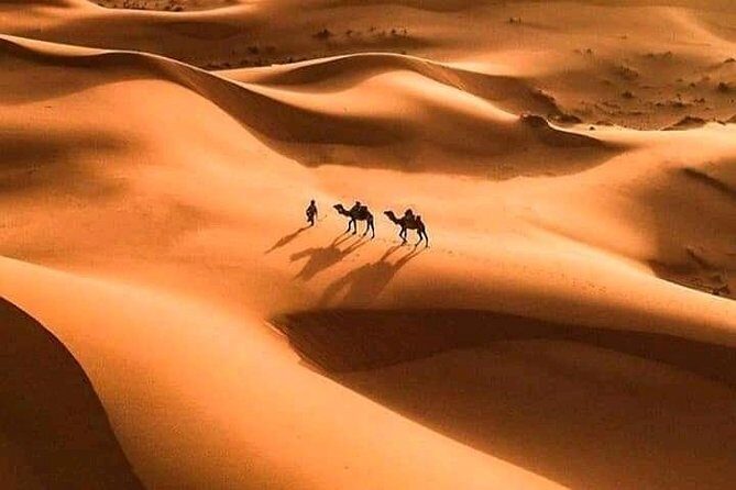 Shared 3 Day Desert Safari Experience tour from Marrakech to Merzouga - Authentic Traveler Experiences & Tips
