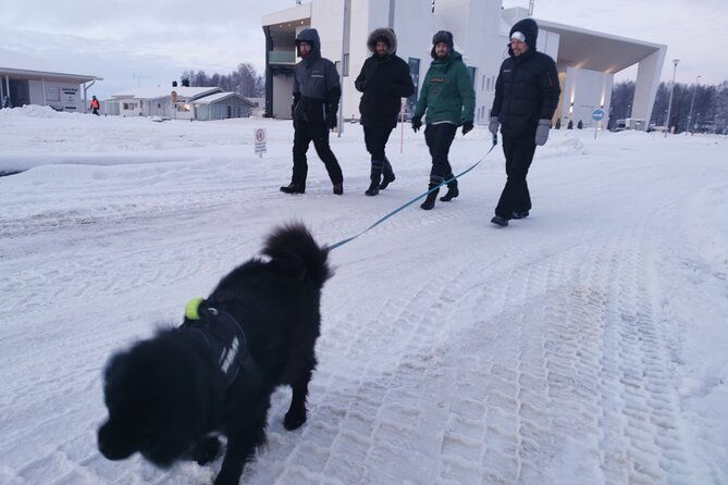 shared-3-hour-ice-trek-activity-to-kemi