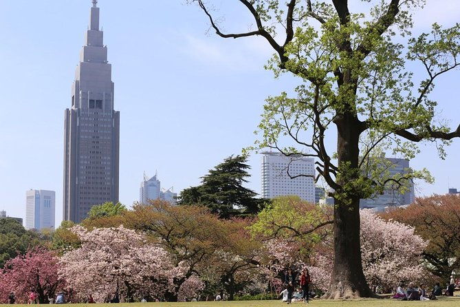 shared-arrival-transfer-narita-international-airport-to-hotel-central-tokyo
