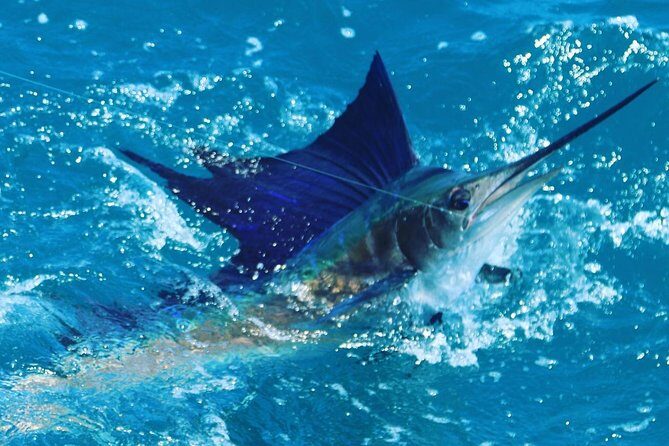 Shared BIG GAME Sportfishing Up To Six People - Frequently Asked Questions