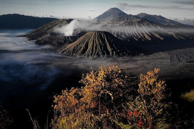 Shared Bromo Tour Start From Malang - 1D - Introduction
