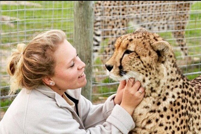 Shared: Cape Winelands, Cheetah Outreach & Kisternbosch Botanical Gardens Tour, - Key Points