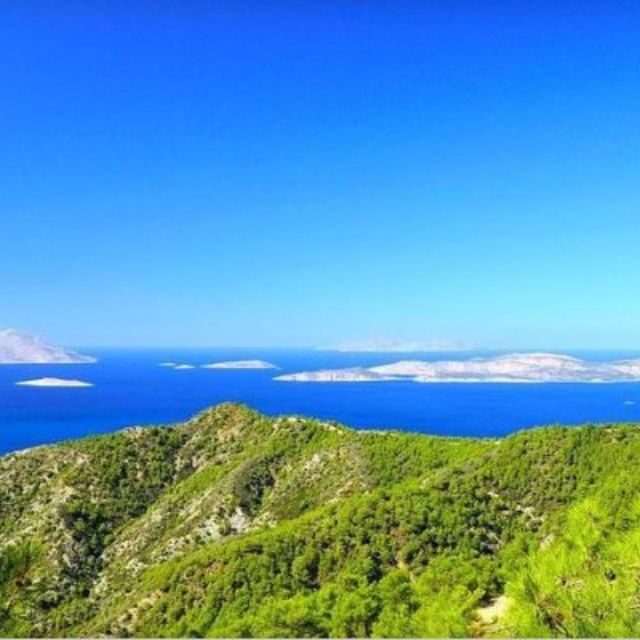 Shared Day Trip from Rhodes to Alimia island - Key Points