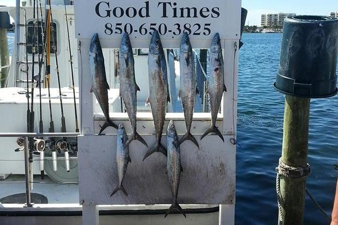 shared-deep-sea-fishing-trip