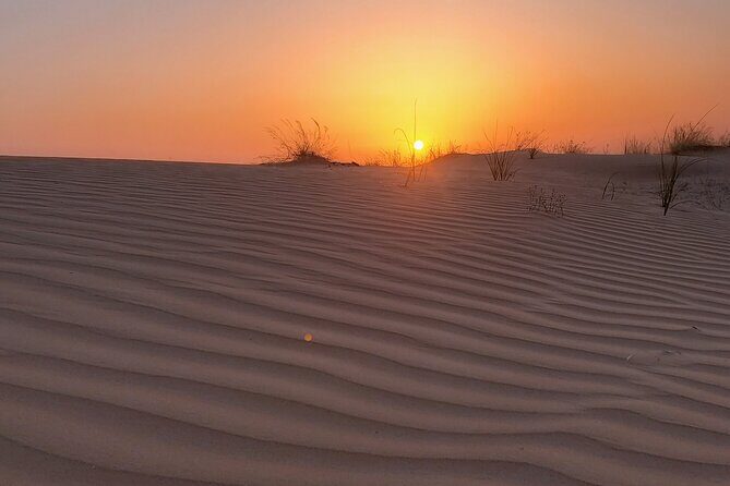 Shared Desert Safari Tour Dubai with Dinner Included - FAQ