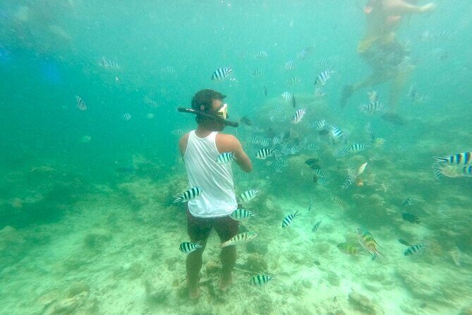 Shared El Nido Island Hopping Tour with lunch - Key Points