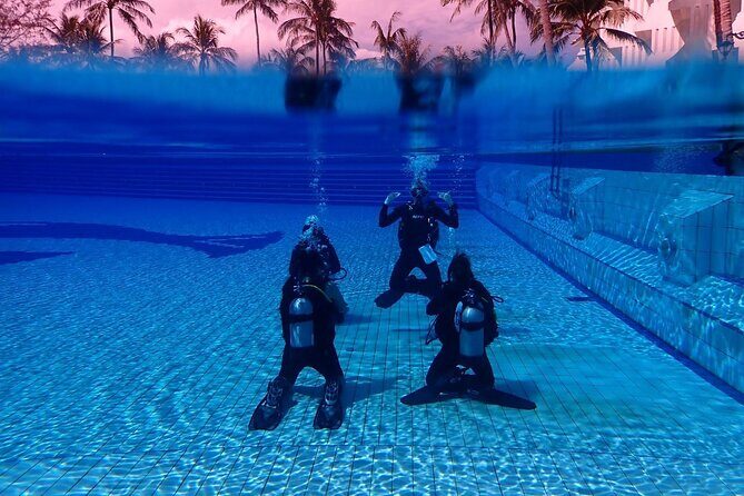 Shared Experience PADI Open Water Diver Course Gold - Who Is This Tour Best Suited For?