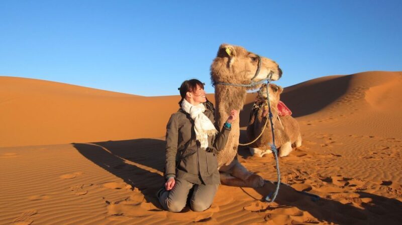 Shared Fes desert tours 2 days back to Fes - Key Points