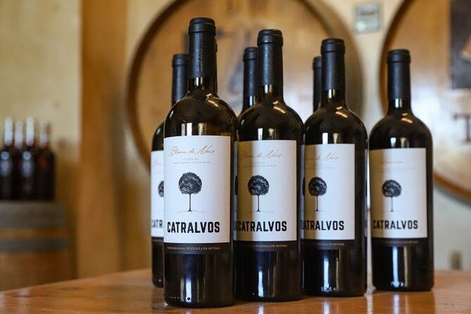 shared-full-day-arrabida-wine-tour-and-food-tasting