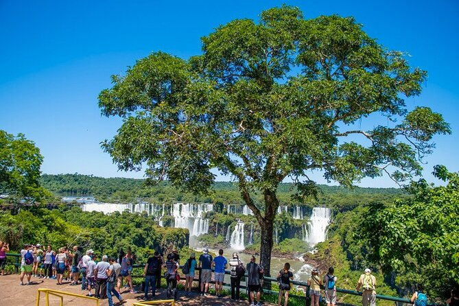 shared-group-brazilian-falls-with-boat-tour-and-tickets-included